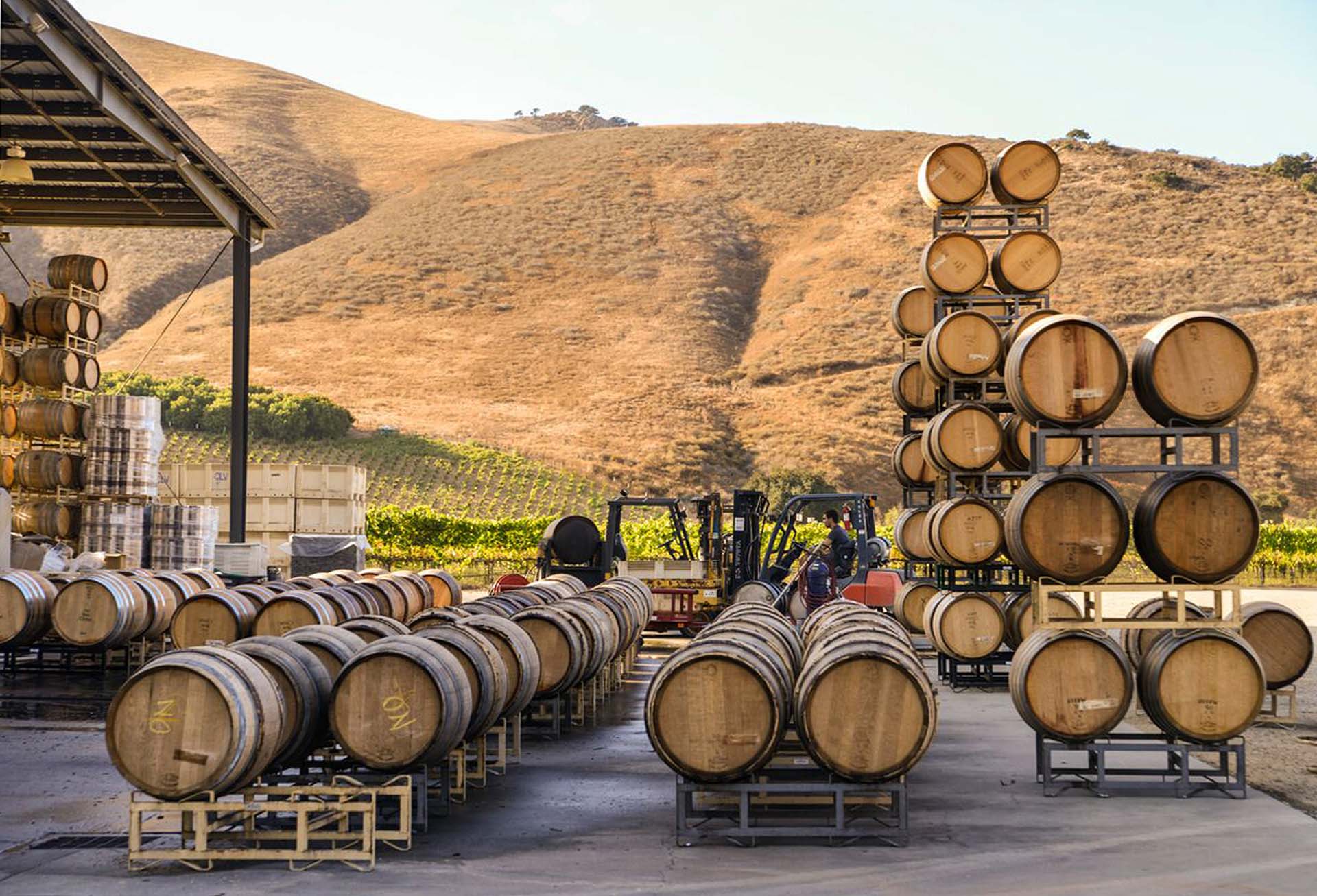 Wine barrels at Clendenen Family Wines and Au Bon Climat, Santa Barbara, California