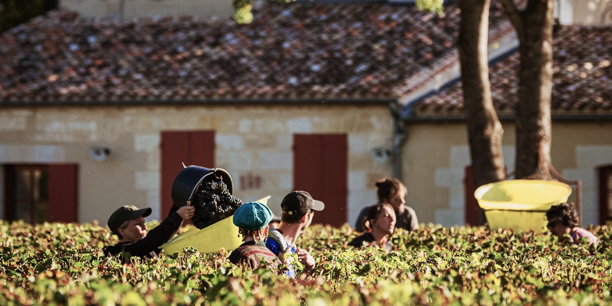 CHÂTEAU HAUT-BAGES LIBÉRAL