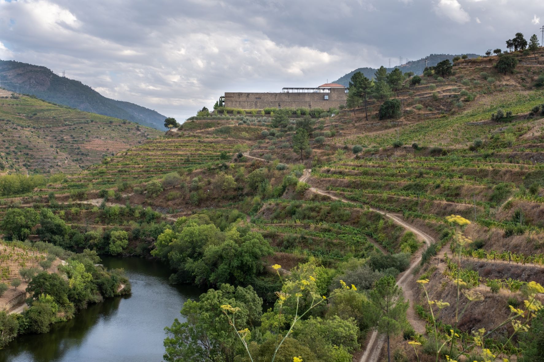 NIEPOORT_QUINTA_NAPOLES