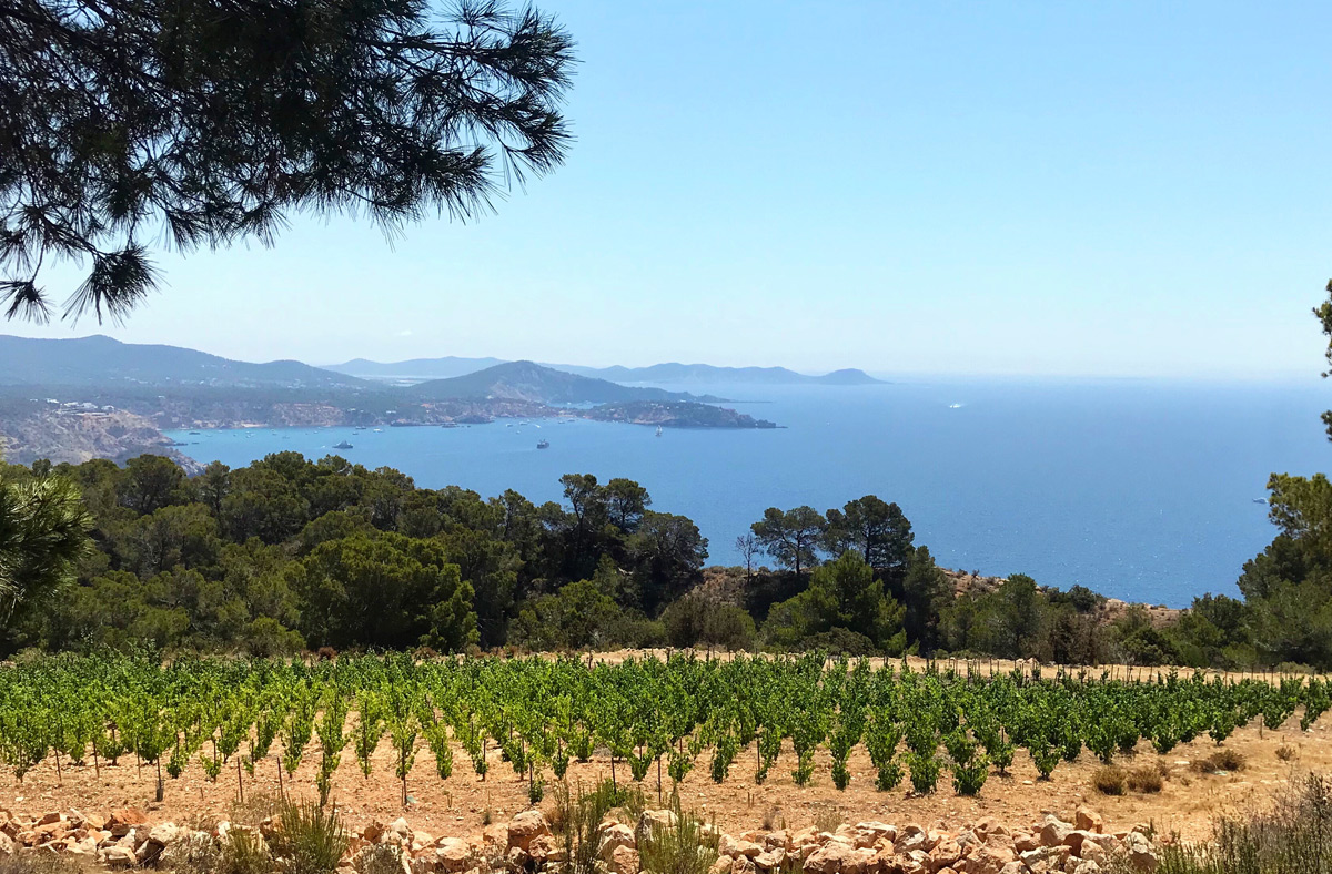 ibizkus