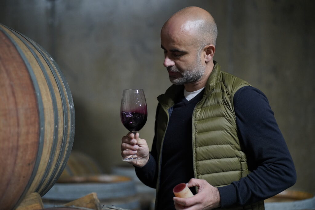 Miss Vitis Wines