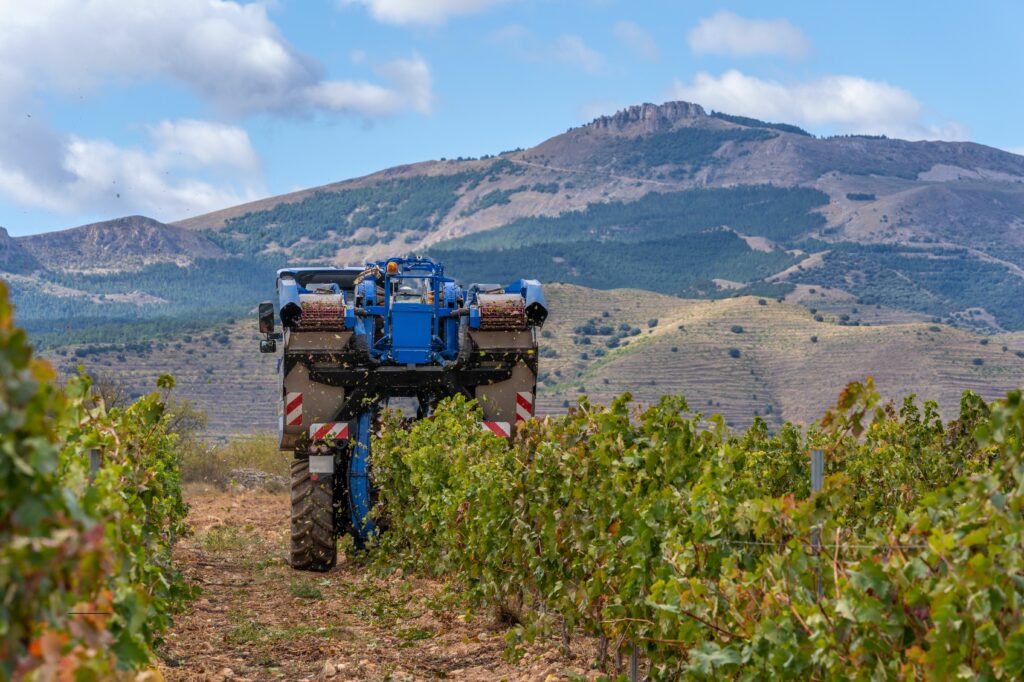 Machine harvest