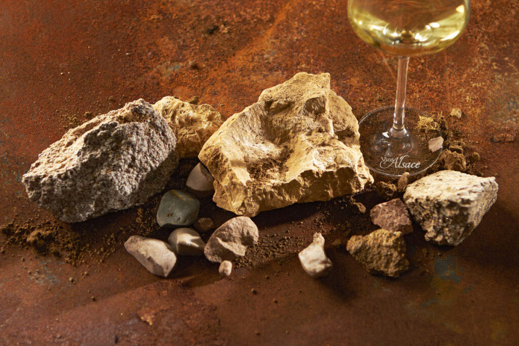 soil and wine