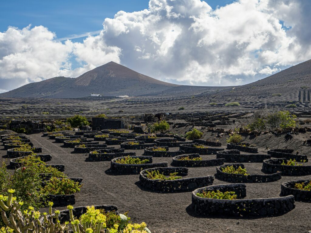 Volcanic soil