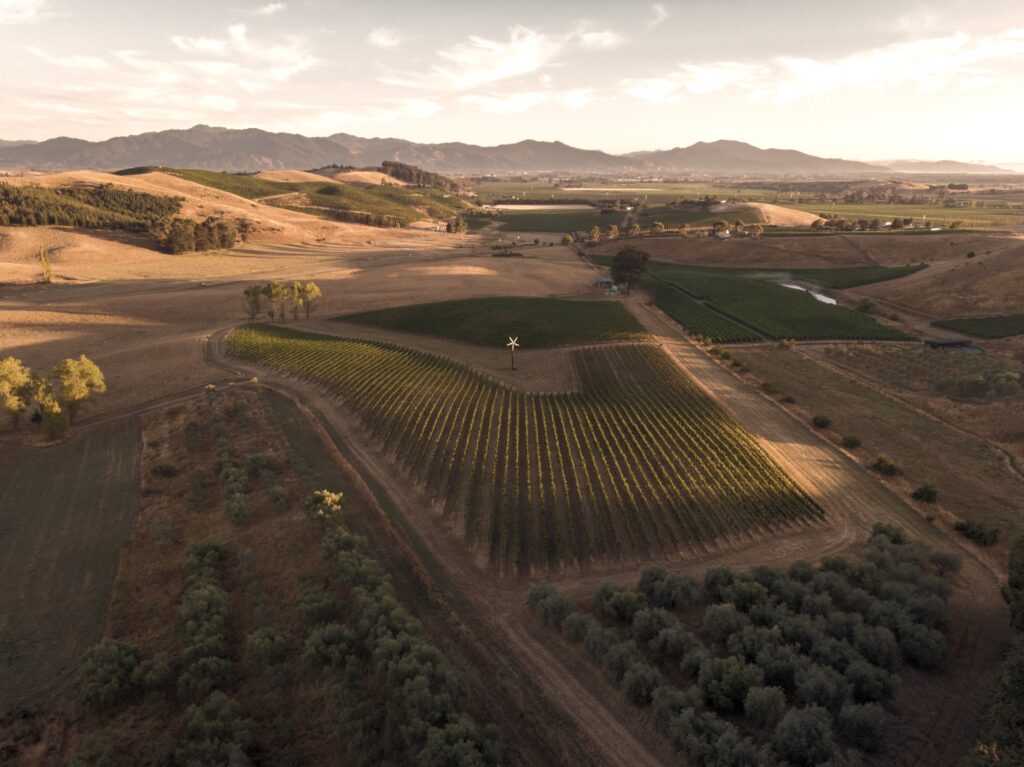 sorrell wines