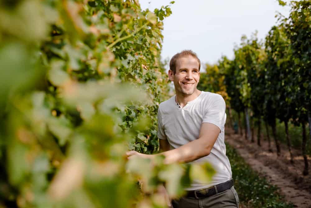 Pratsch Wine