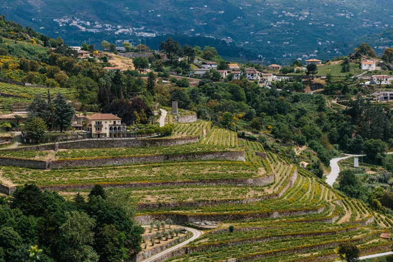 Vinho Verde wine region